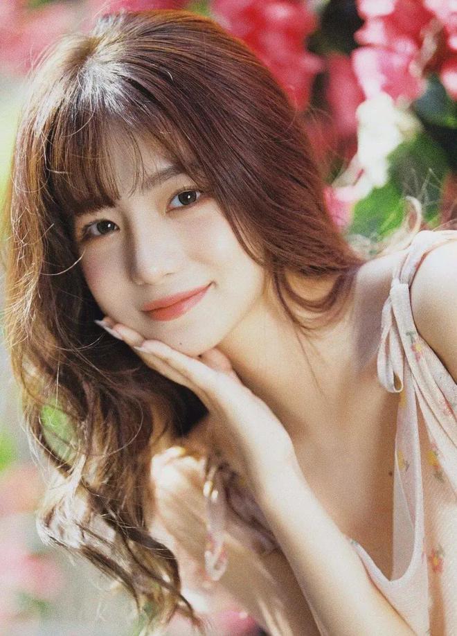 含羞草论坛V1711(2023已更新)--IT时代网